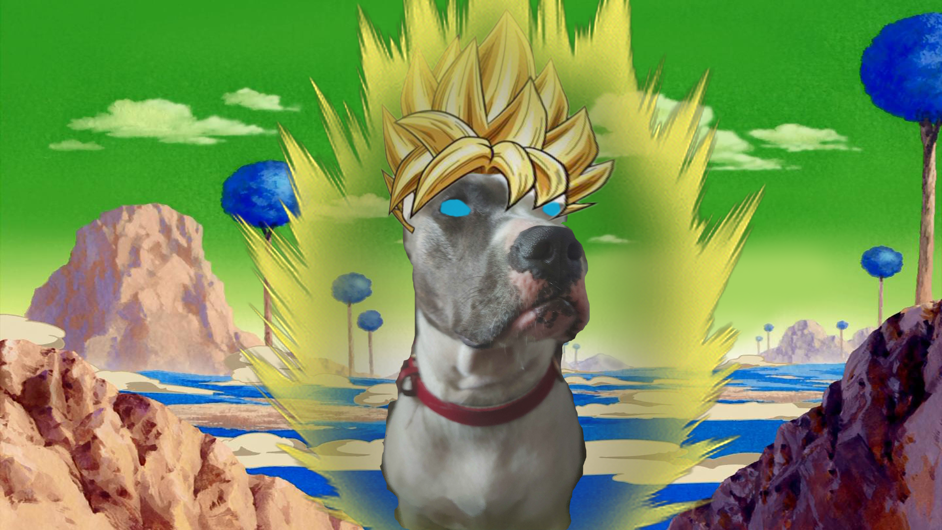 A super saiyan canine.